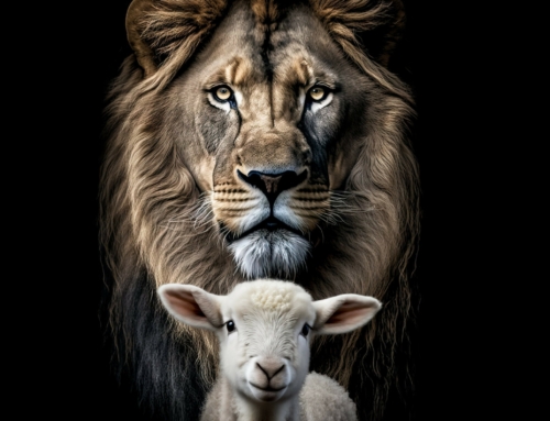 Lion and the Lamb